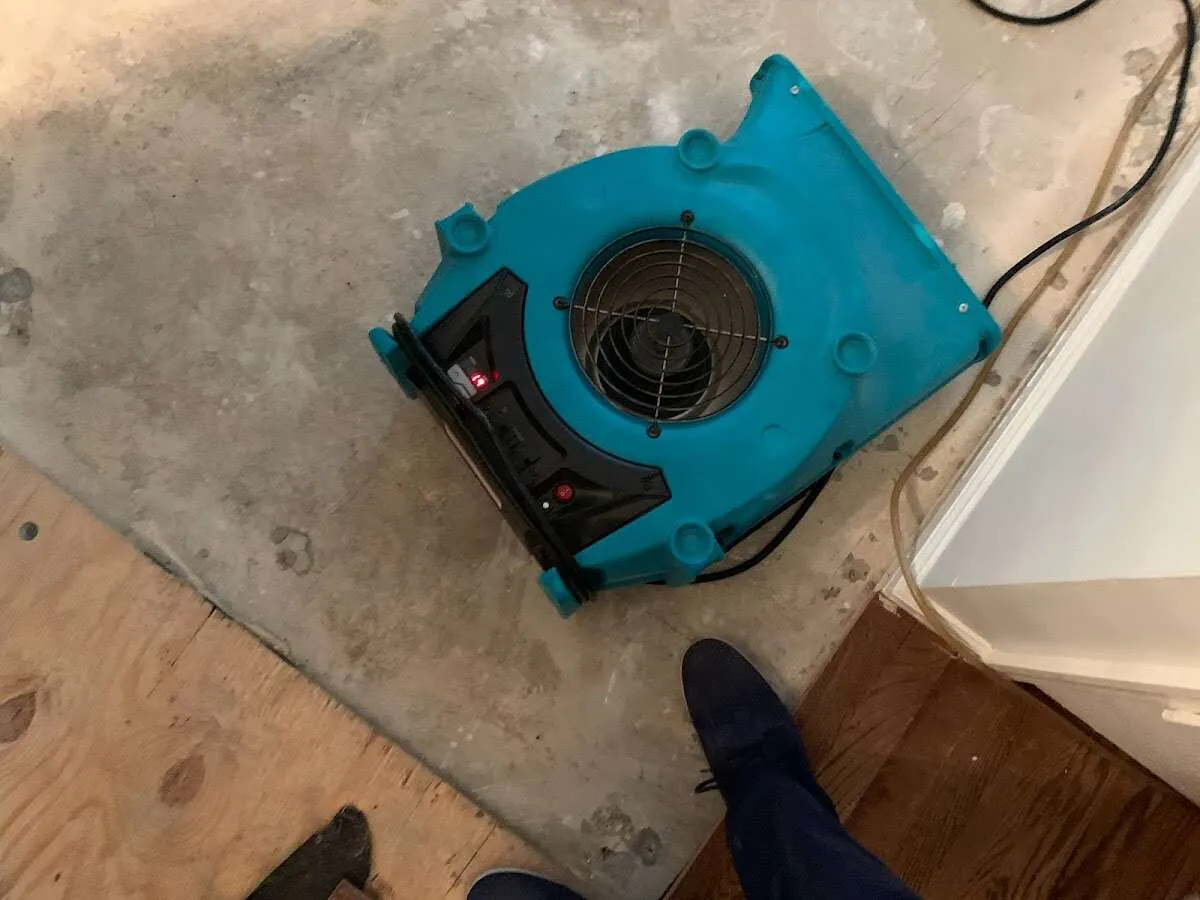 Air mover drying subfloor during Commercial Water Damage Restoration in Silverton